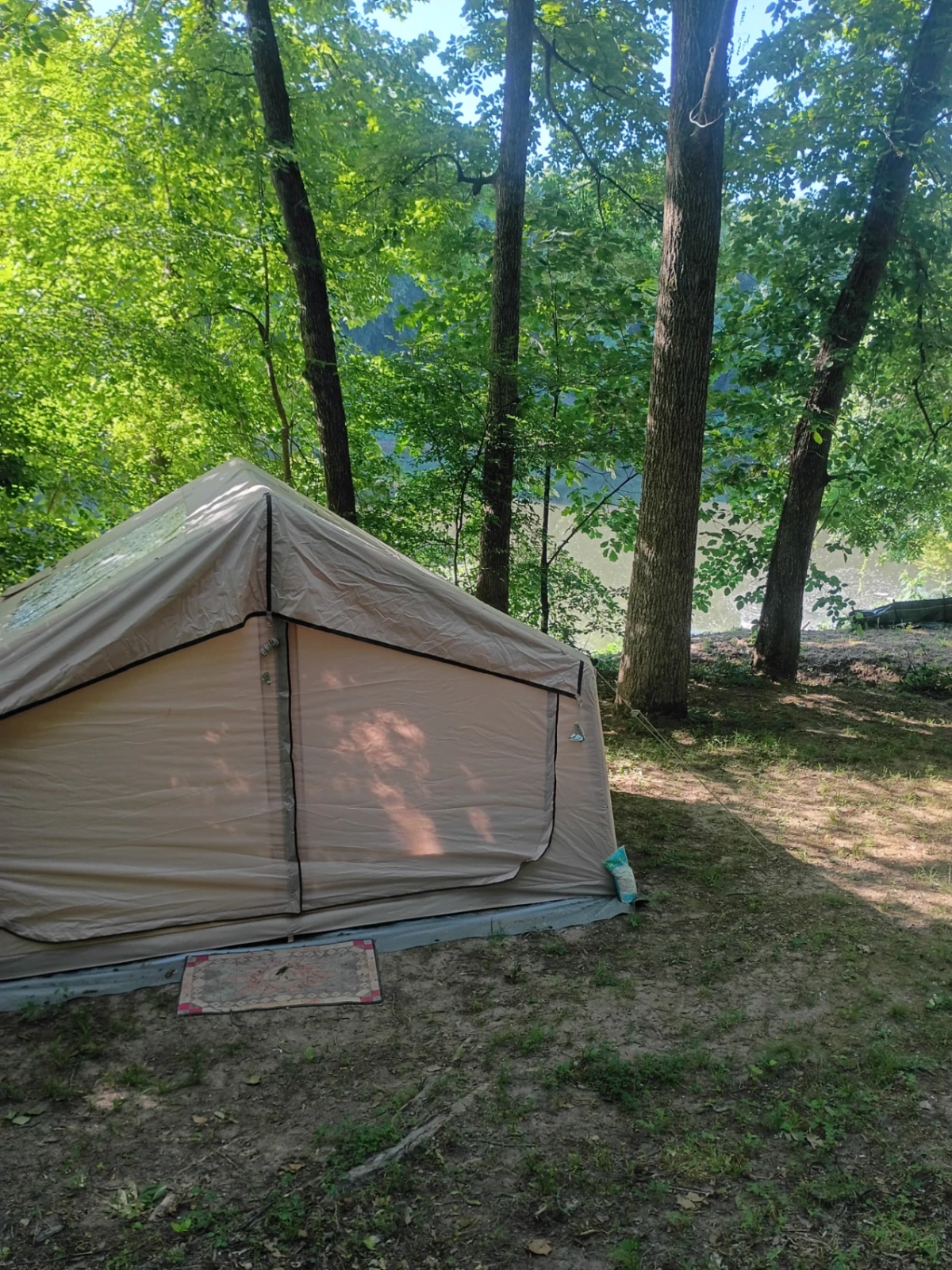 Honeymoon campsite tent in the trees near the Yadkin River