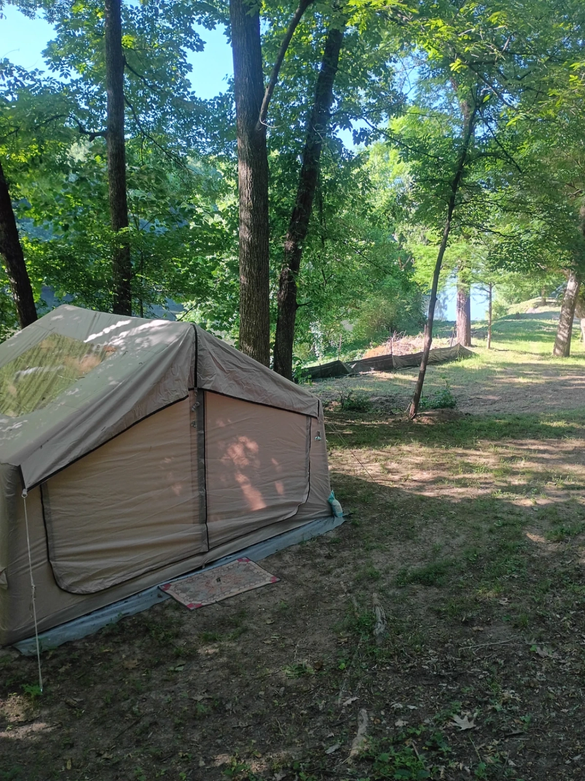 Honeymoon tent nestled in the trees